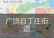 广饶县丁庄街道