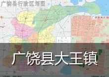 广饶县大王镇